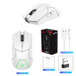 Wireless Gaming Mouse with 2.4GHz Technology - Alotta Fun Electronic